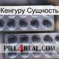 Кенгуру Сущность 31